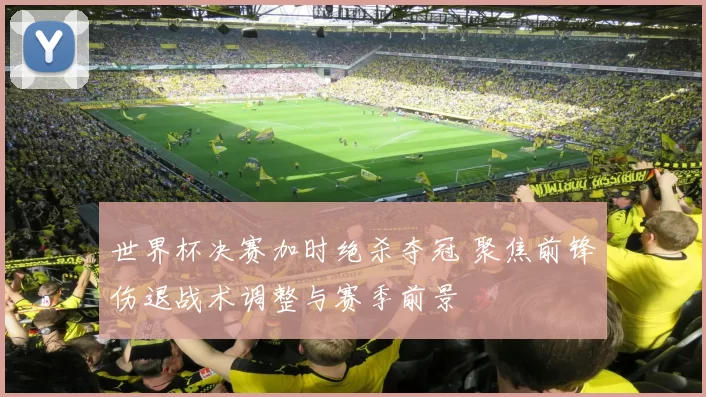 世界杯决赛加时绝杀夺冠 聚焦前锋伤退战术调整与赛季前景