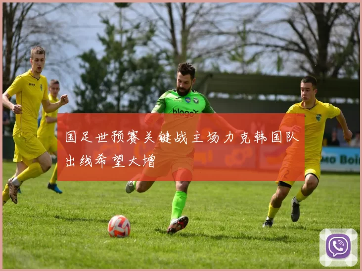 国足世预赛关键战主场力克韩国队出线希望大增