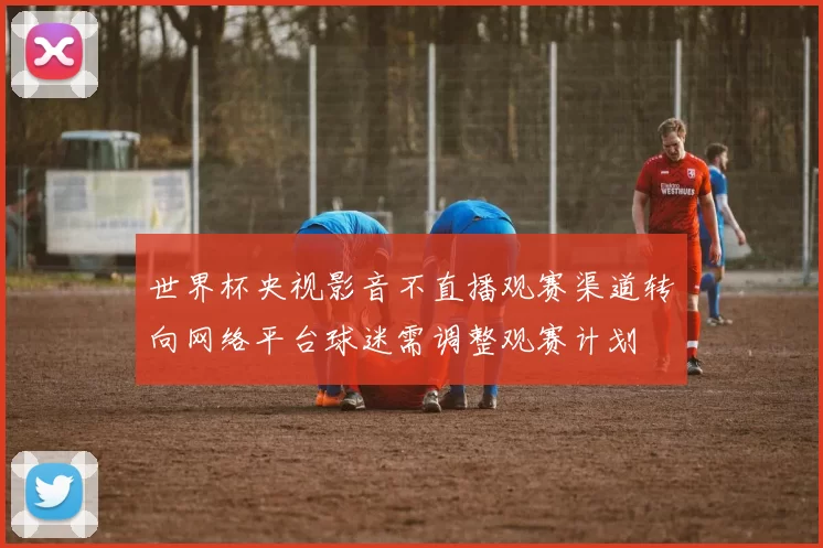 世界杯央视影音不直播观赛渠道转向网络平台球迷需调整观赛计划