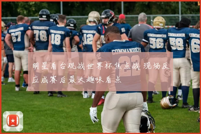 明星看台观战世界杯焦点战 现场反应成赛后最大趣味看点